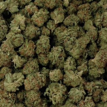 Bubba Kush Cannabis-Sorte zum Online-Verkauf in Wien Österreich