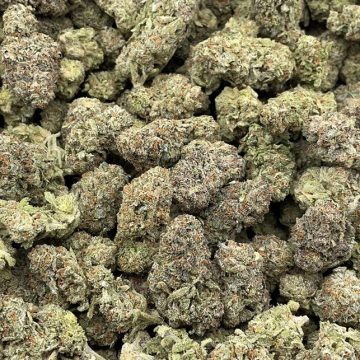 Acheter une variété de cannabis Lemon Cherry Gelato en ligne à Lyon en France