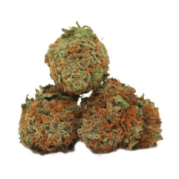 Purchasing Lemon Haze Cannabis Strain Online In Karlsruhe Baden-Württemberg Germany