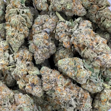 Animal Cookies Cannabis Strain For Sale In Rostock Mecklenburg-Vorpommern Germany