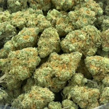 Green Crack Cannabis Strain For Sale Online In Saarbrücken Saarland Germany