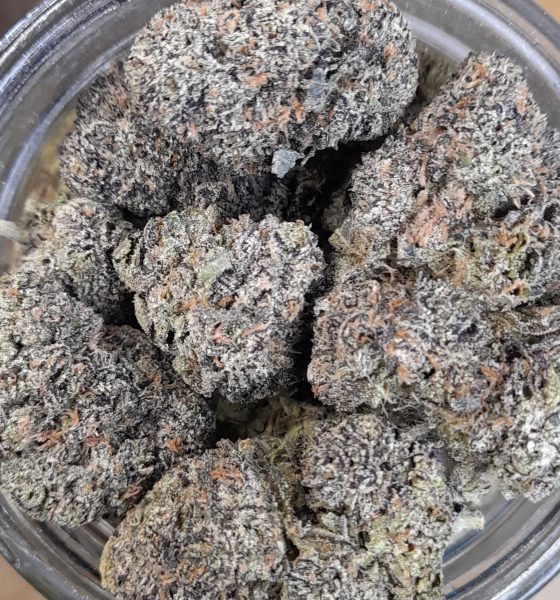 Pink Runtz Strain