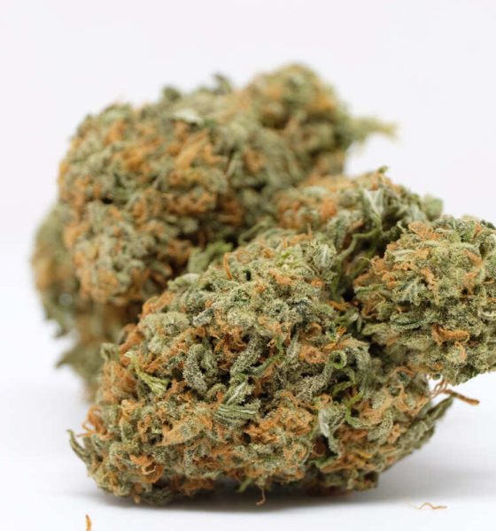 Skywalker OG Strain