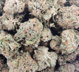 Purchasing Jack Herer Cannabis Strain Online in Duisburg North Rhine-Westphalia Germany