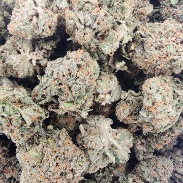 Purchasing Jack Herer Cannabis Strain Online in Duisburg North Rhine-Westphalia Germany