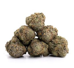 Kaufen Sie die Cannabissorte L.A. Confidential online in Dortmund Nordrhein-Westfalen Deutschland