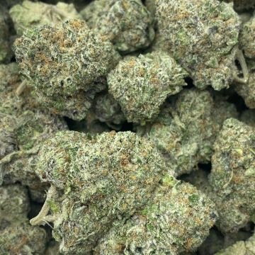 Ice Cream Cake Cannabis-Sorte zum Online-Verkauf in Hamburg, Deutschland