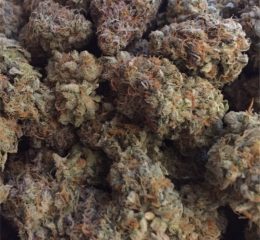 Kaufen Sie die Cannabissorte Mendo Breath online in Stuttgart Baden-Württemberg Deutschland